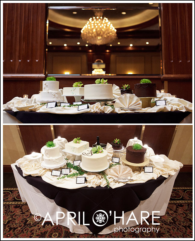I bet their guests had the hardest time deciding which cake to taste!  Cakes by Cake Crumbs Bakery