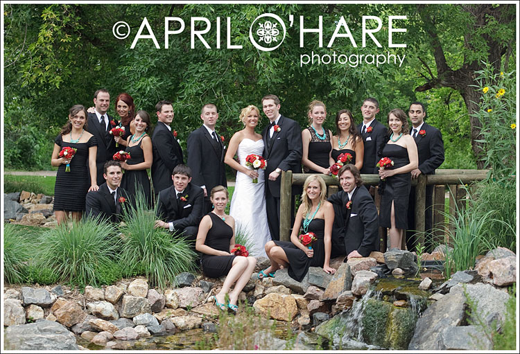 Wedding party portrait at a garden venue from a Littleton wedding photographer