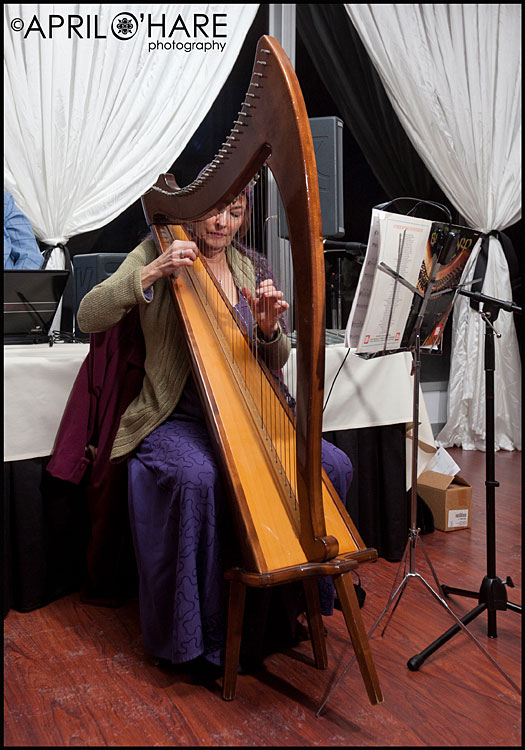 Some beautiful harp music was played during dinner.