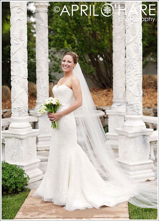 Gorgeous Bridal Portrait at Stonebrook Manor Colorado