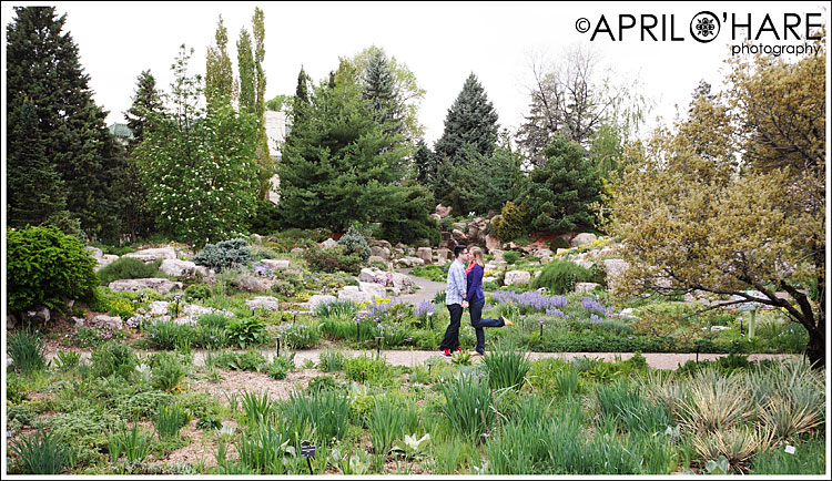 Kissing engaged couple in the Denver Botanic Gardens