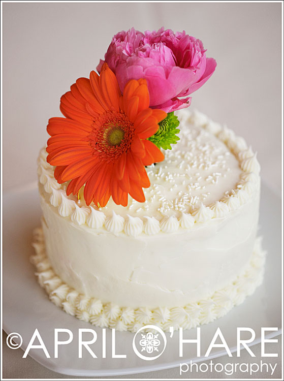 Simple white wedding cake Photo Steamboat Springs CO