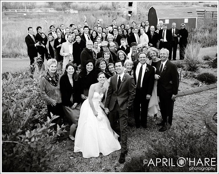 Denver CO Wedding Photographer