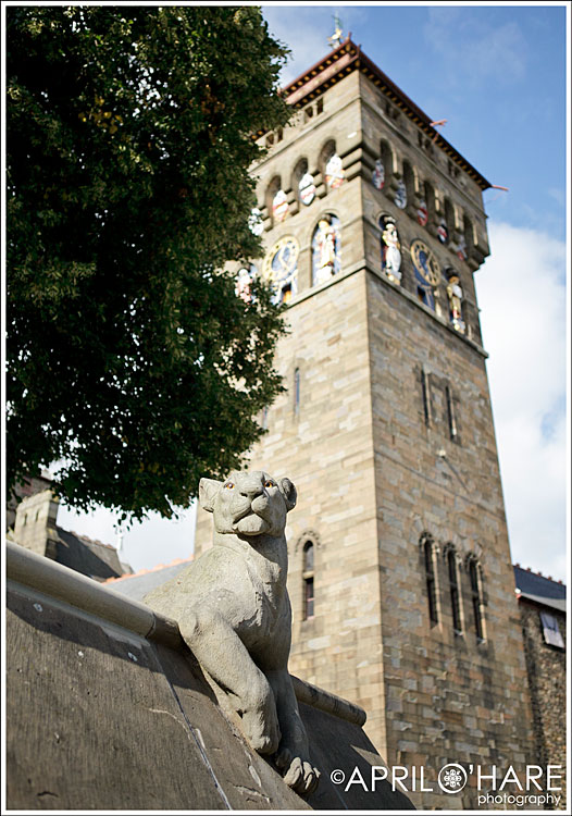Lions outside on the Cardiff Castle wall