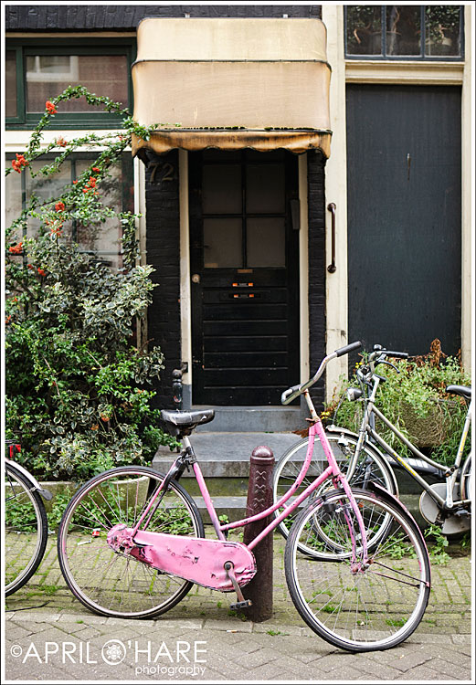 Pretty Pink Bike in Amsterdam