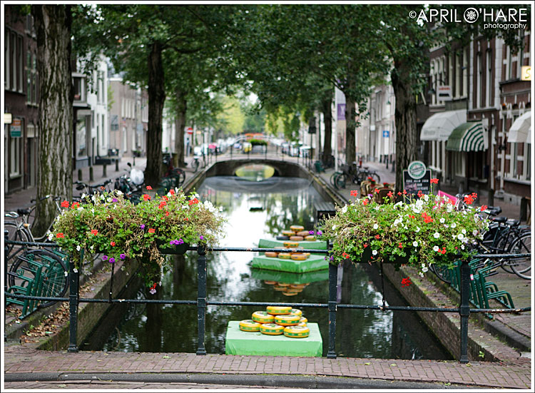 Gouda canal with flowers