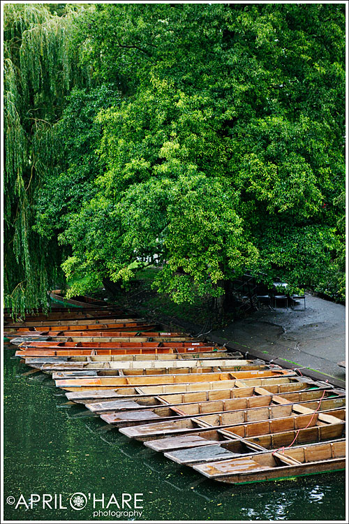 Docked Punt Boats in Cambridge UK