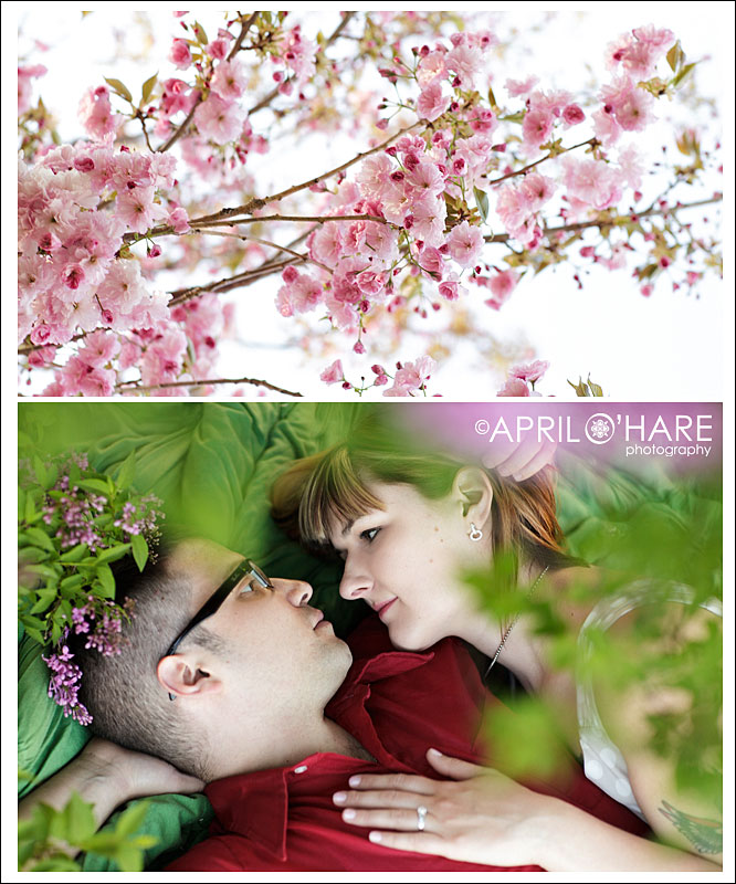 Gorgeous Denver Spring Blossom Engagement Photographer