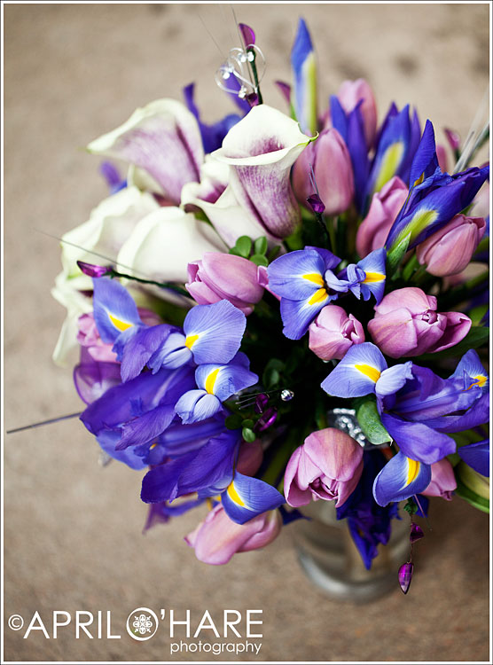 Denver Colorado Wedding Photographer