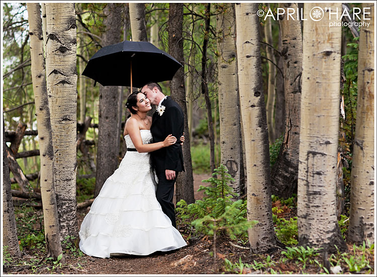Colorado Mountain Wedding Photographer