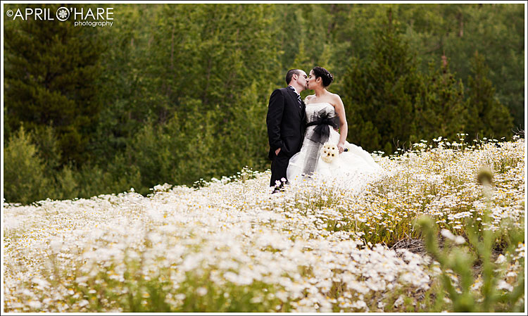 Colorado Wedding photographer