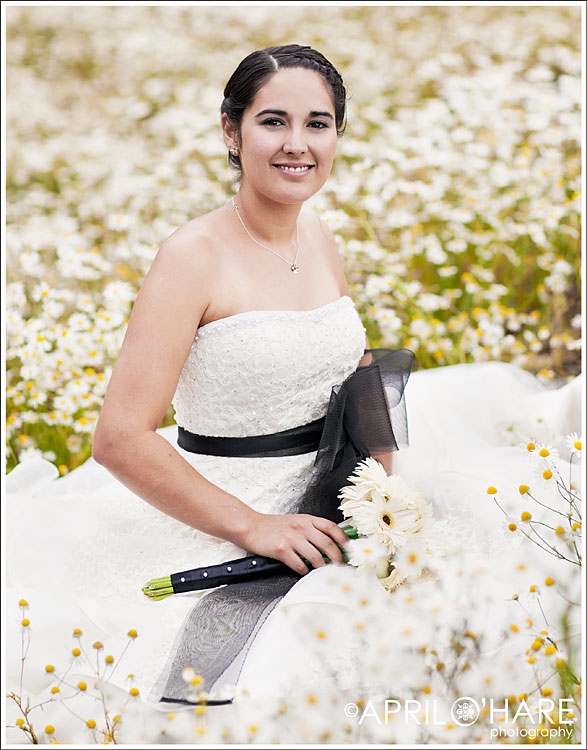 Colorado Mountain Wedding Photographer