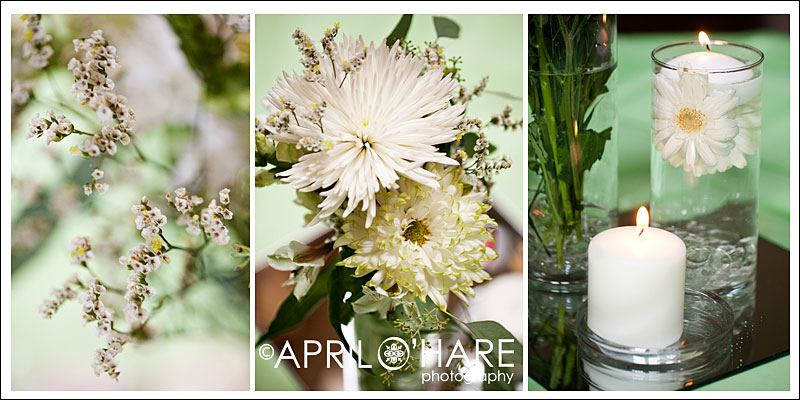 Colorado Wedding Photographer