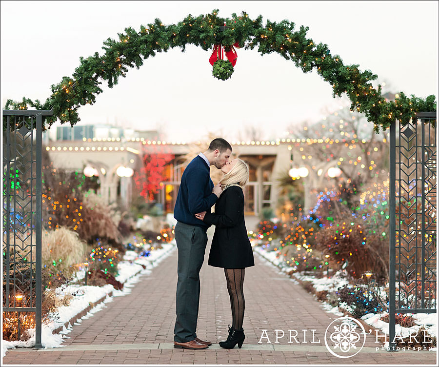 Kissing under mistletoe proposal at Blossoms of Light Denver Botanic Gardens