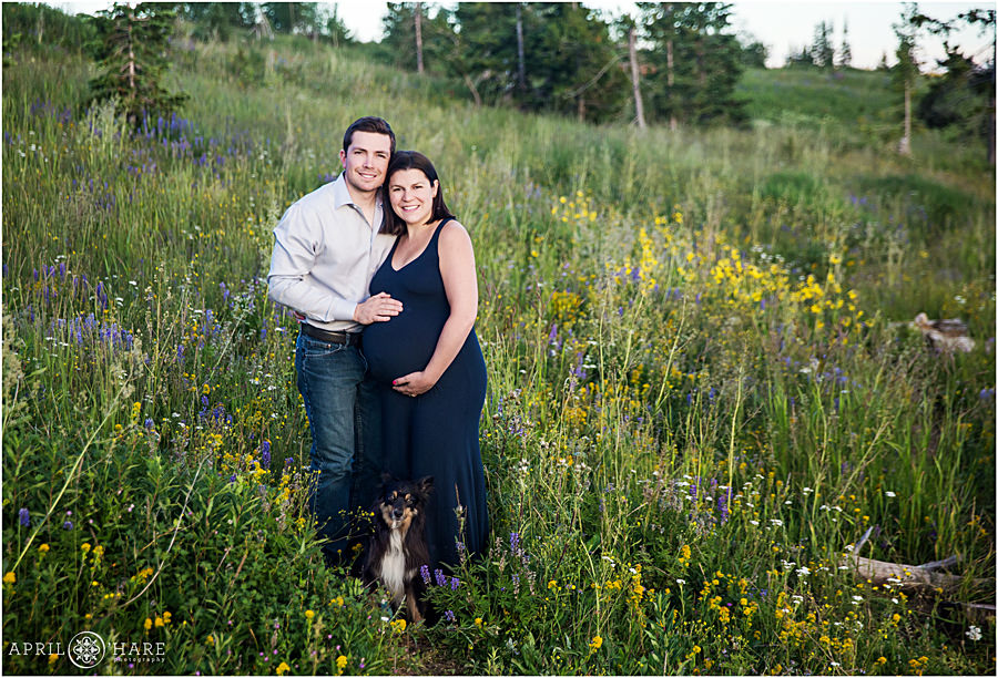 Steamboat Springs Maternity Photography in wildflowers at Dumont Lake