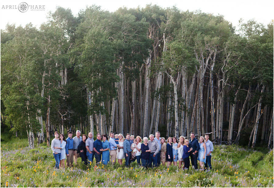Kremmling Family Photos in Aspen Tree Grove
