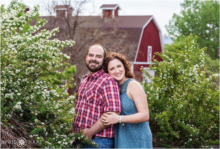Hudson Gardens Engagement Photos During Spring with Red Barn Backdrop