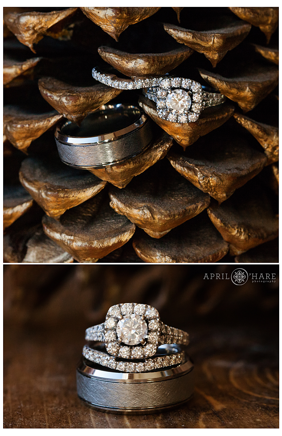 Detail photo of wedding rings on a pine cone for a Winter Wedding in Breckenridge