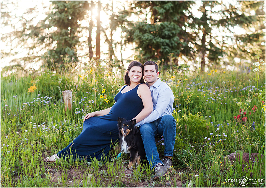 Pregnancy Photos in the wildflowers of Steamboat Springs
