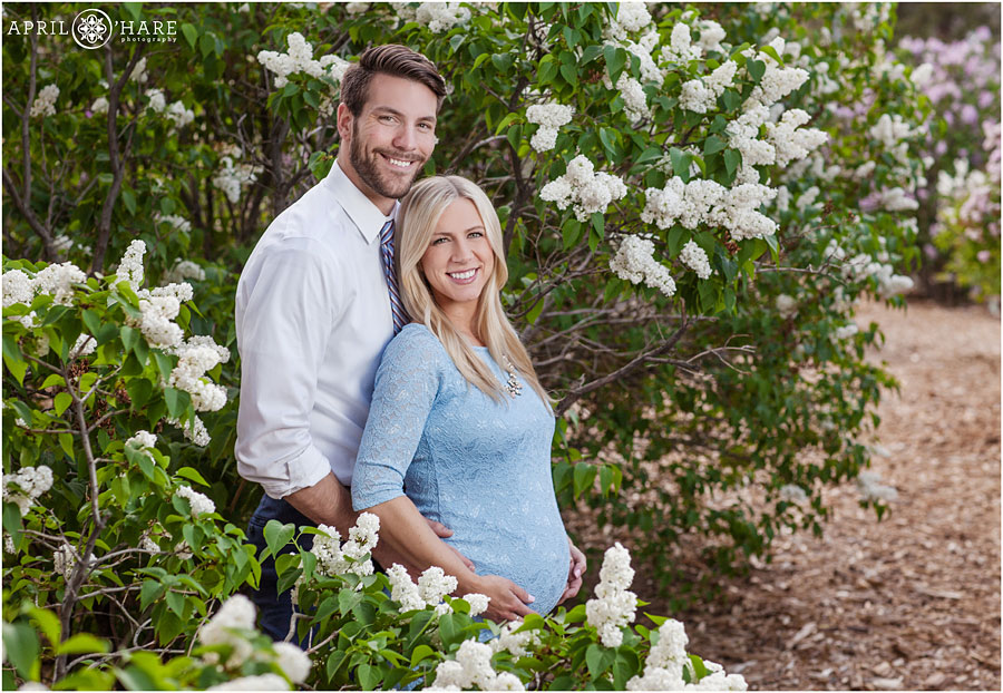Couple parents to be posing for Spring Blossom Maternity Photos with white lilac bushes