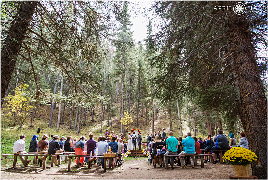 Colorado Boho Wedding Ceremony in the Woods