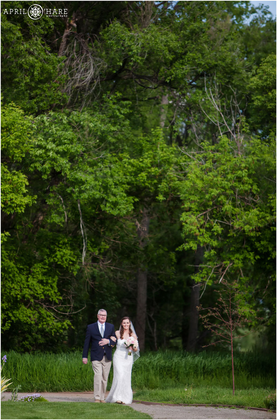 Denver Garden Wedding Ceremony Bride Walks Out of Woods with Dad at Chatfield Farms