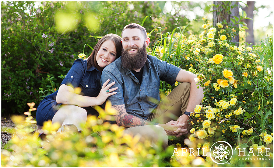 Beautiful Yellow Rose Garden Engagement Photo during a Colorado craft brewery engagement photos session