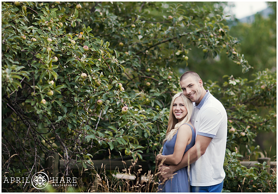 Pretty Apple Orchard engagement photos in Boulder Colorado