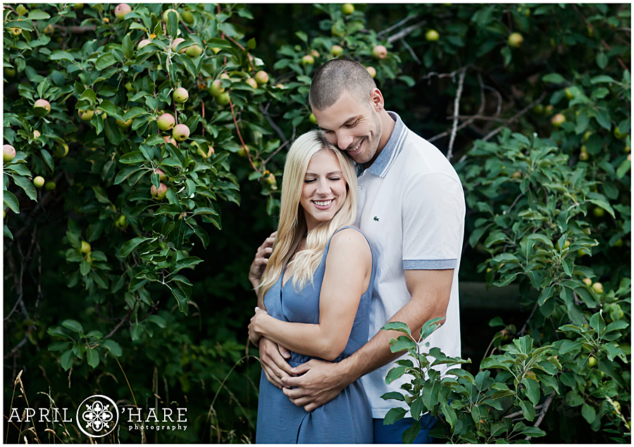 Romantic Boulder Engagement Photos in an apple tree orchard