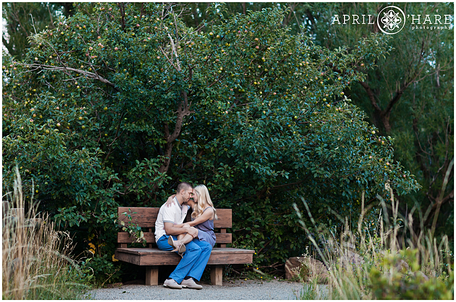 Boulder Engagement Photos under apple orchard tree at South Mesa Trail