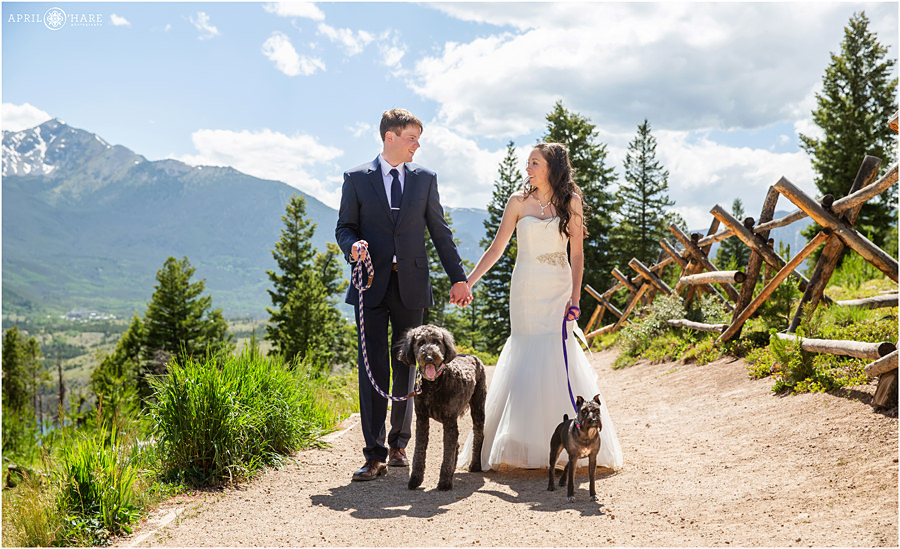 Summer wedding with dogs at Sapphire Point