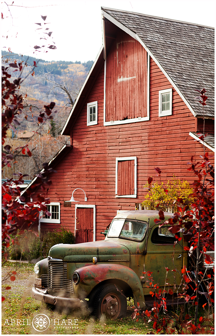 Beautiful red barn with red foliage during fall with a rustic vintage old truck parked in front in Glenwood Springs, Colorado