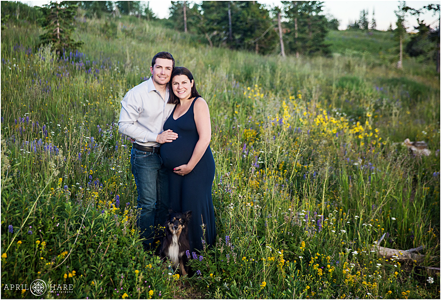 Really cute Steamboat Springs Maternity Photography with pretty purple and yellow wildflowers