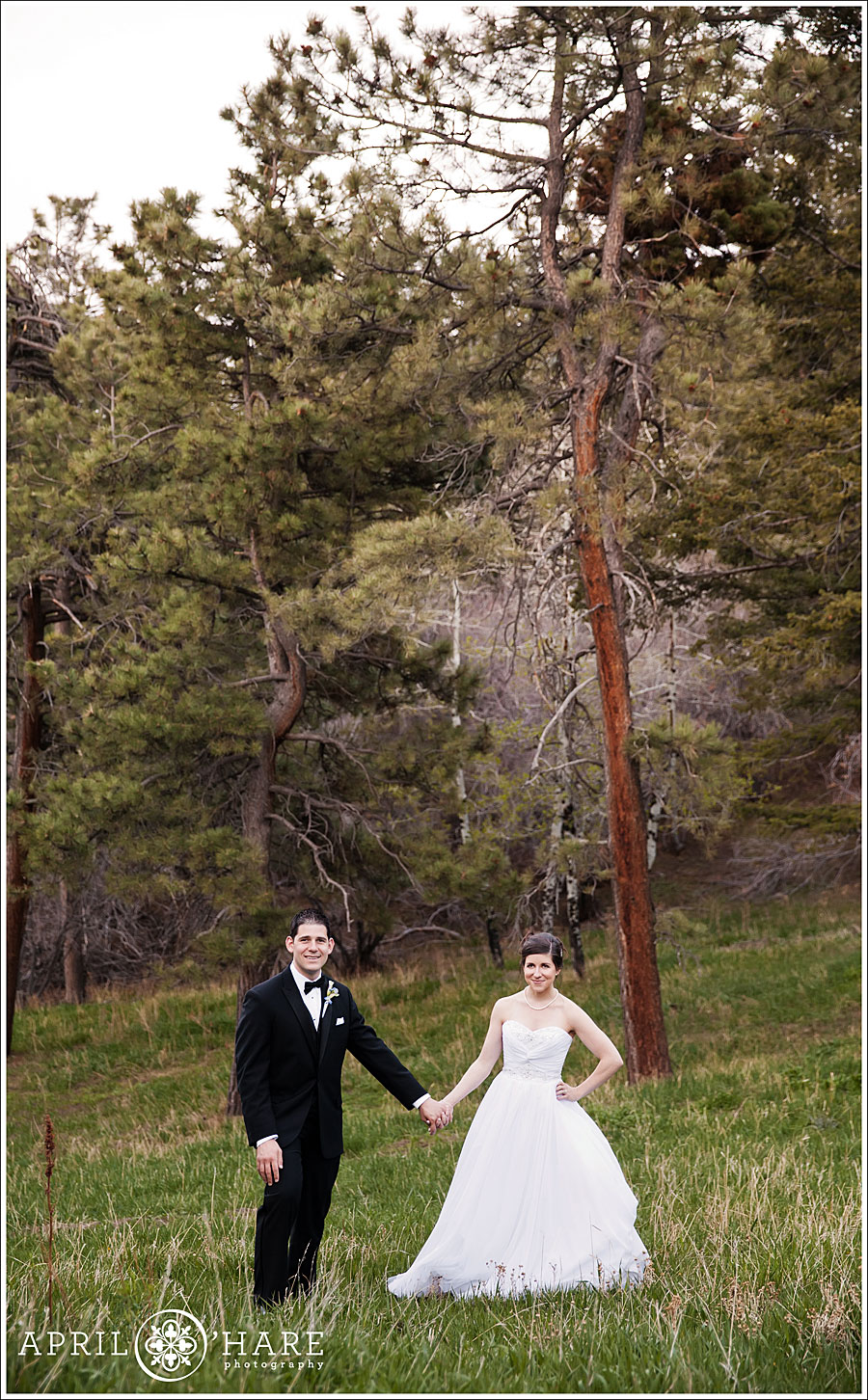 Capturing portraits in the woods after a Wild Bear Crashes Colorado Wedding
