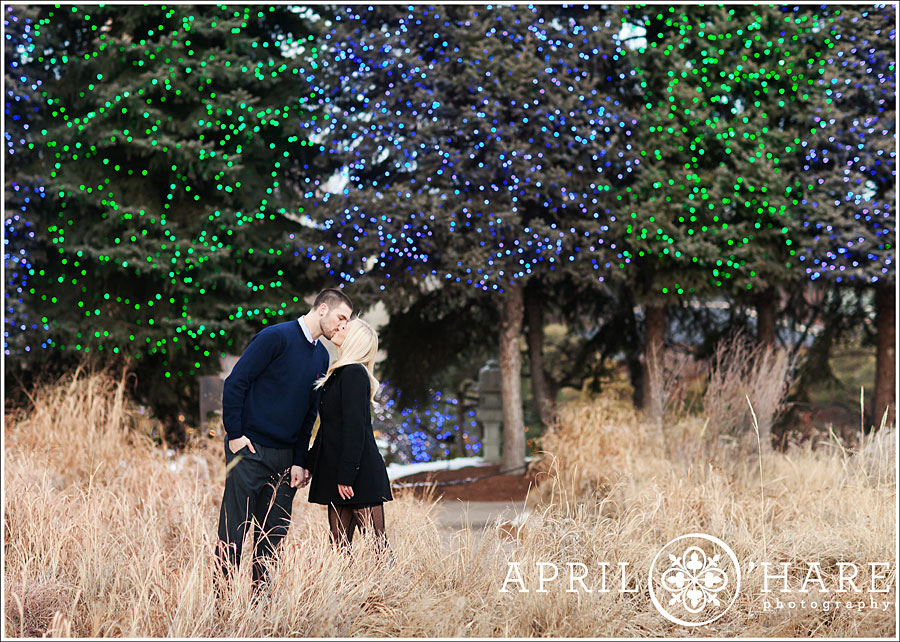 Romantic Blossoms of Light Engagement Photos During Winter at Denver Botanic Gardens