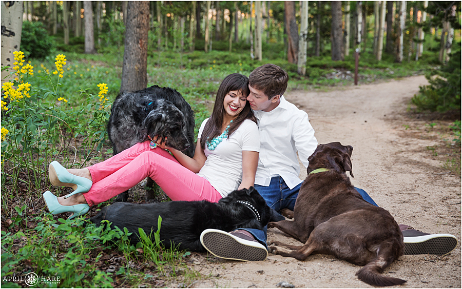 Cute Golden Gate Canyon Engagement Photos with Dogs