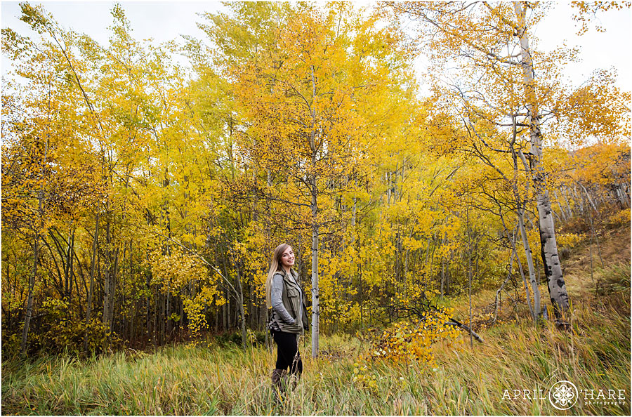 Pretty Yellow Aspen Trees During Fall Colorado Mountain Senior Photography