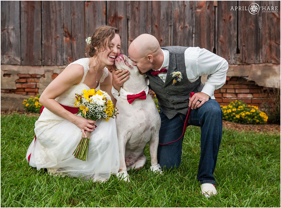 Cute couple with their dog wearing red bowtie at their Nebraska Farm Wedding