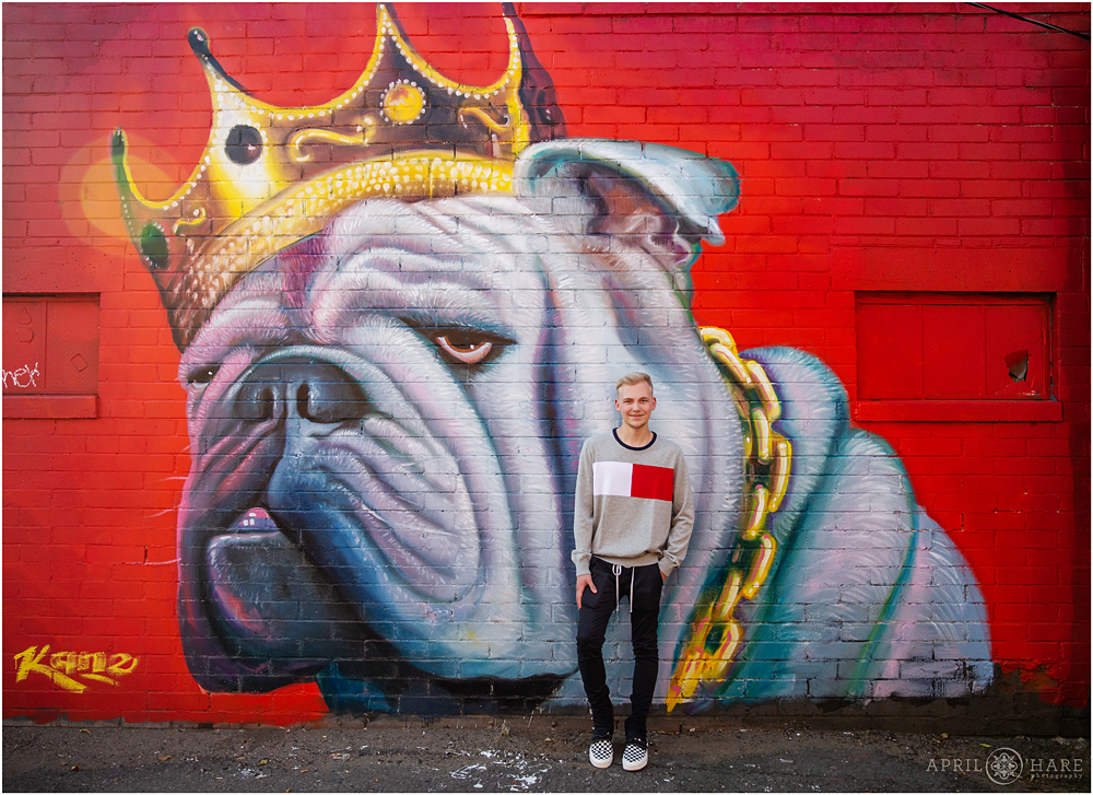 Red Mural Art Wall with Bulldog wearing Crown By Kane Denver Senior Photography