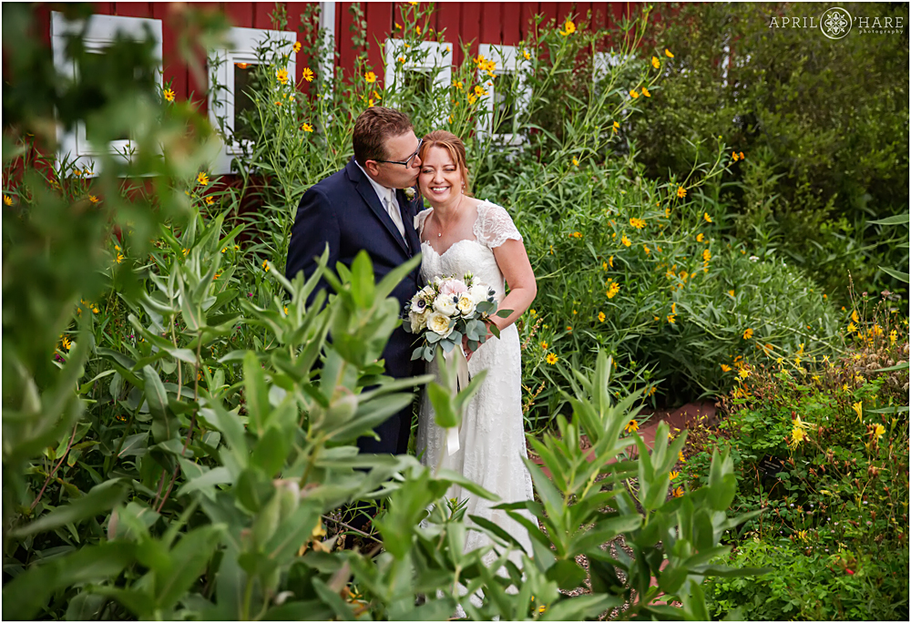Groom kisses his bride with red barn and yellow sunflower backdrop at Chatfield Farms 