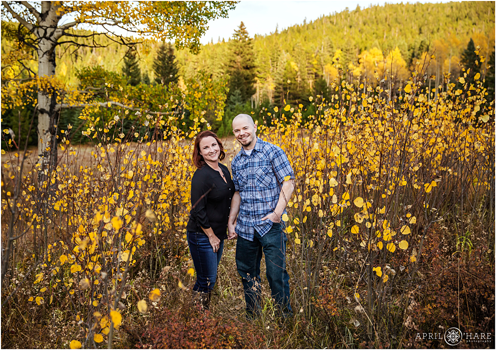 Beautiful Colorado Family Photos in the Fall Color at Squaw Pass Road in Evergreen