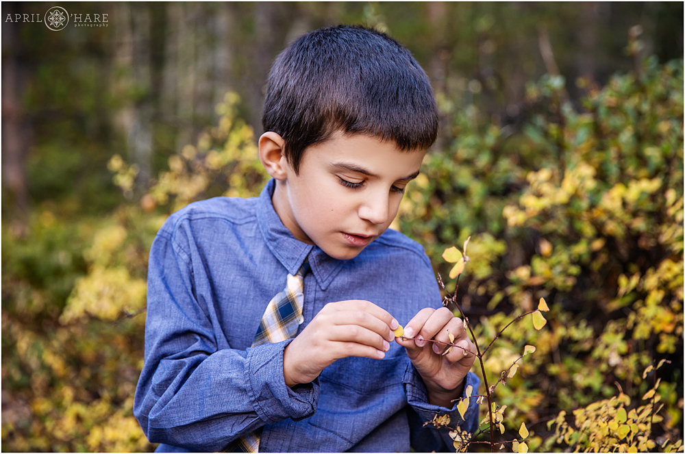 Sweet boy inspects nature at this family photography session in the Colorado fall color