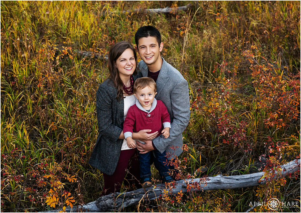Fall Color Family Photography in Colorado with the Aspen Trees at Golden Gate Canyon State Park