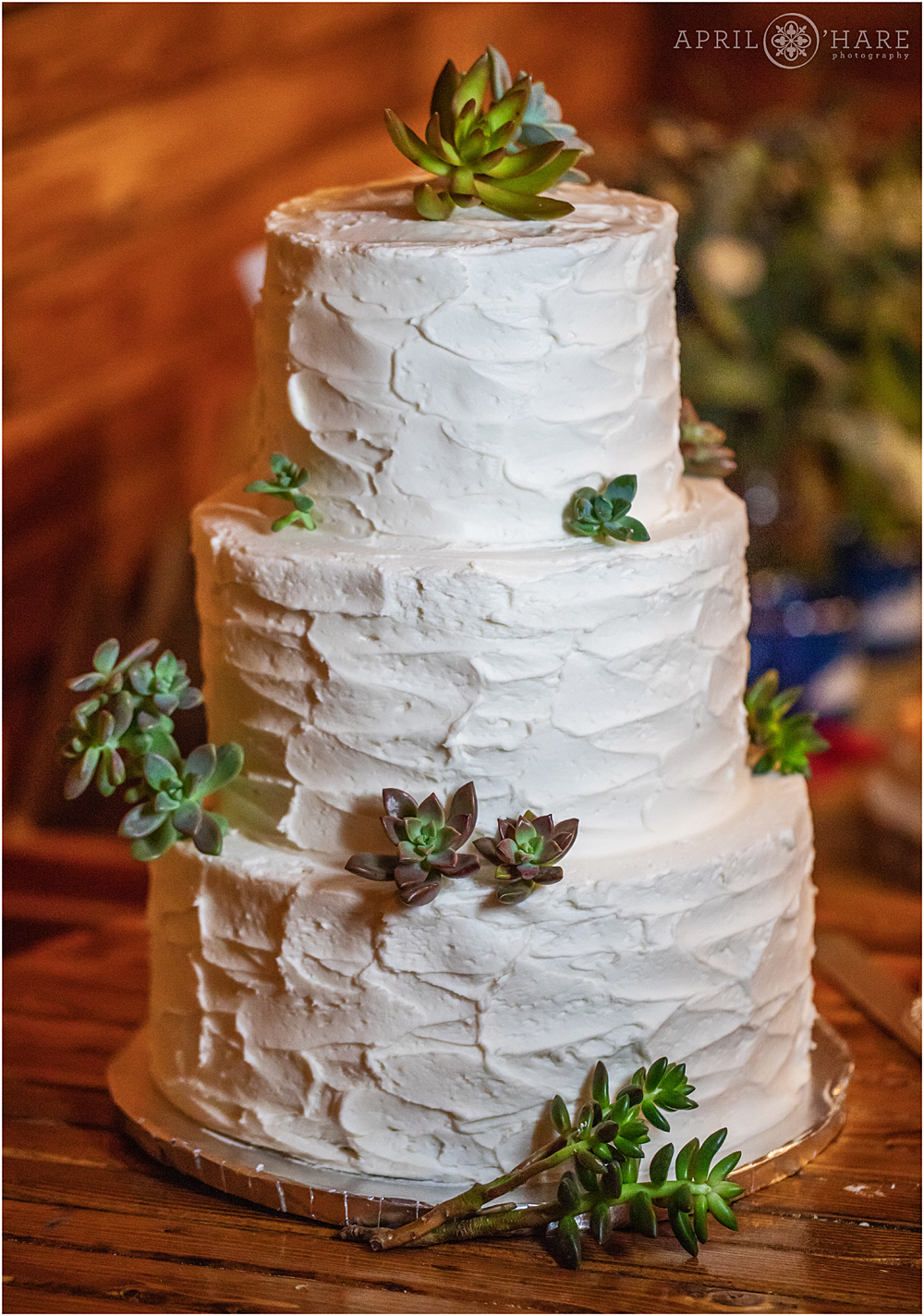 three tiered white wedding cake with succulent decor at Wedgewood Weddings Mountain View Ranch in CO