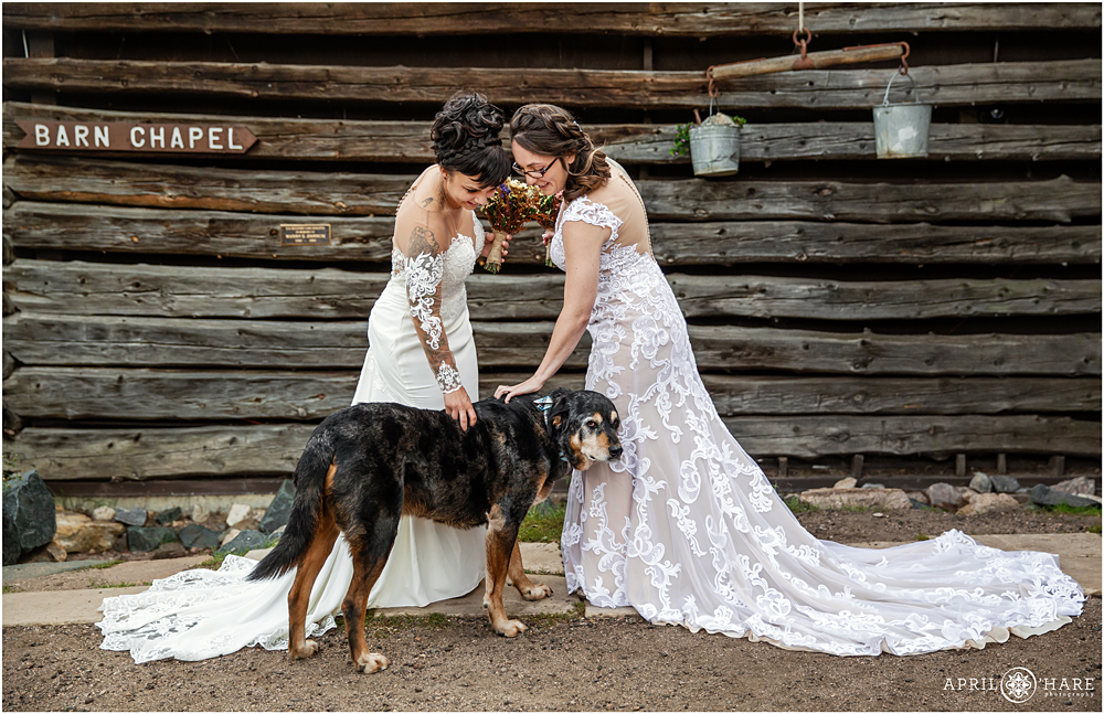 Two brides pet their doggie at their first look in Colorado
