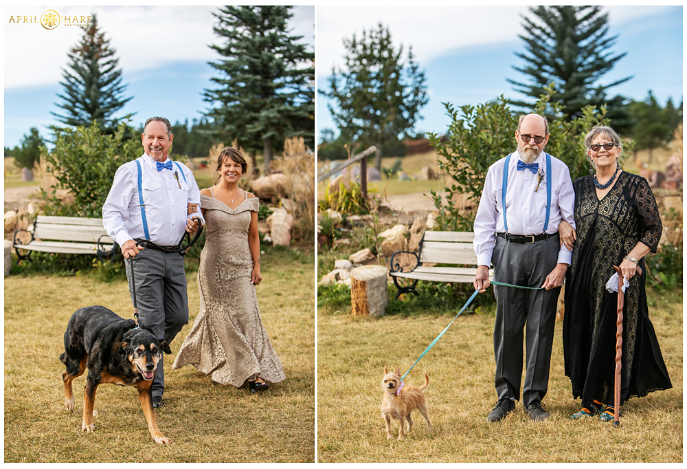 Parents of the brides walk dogs down the aisle at CO mountain wedding