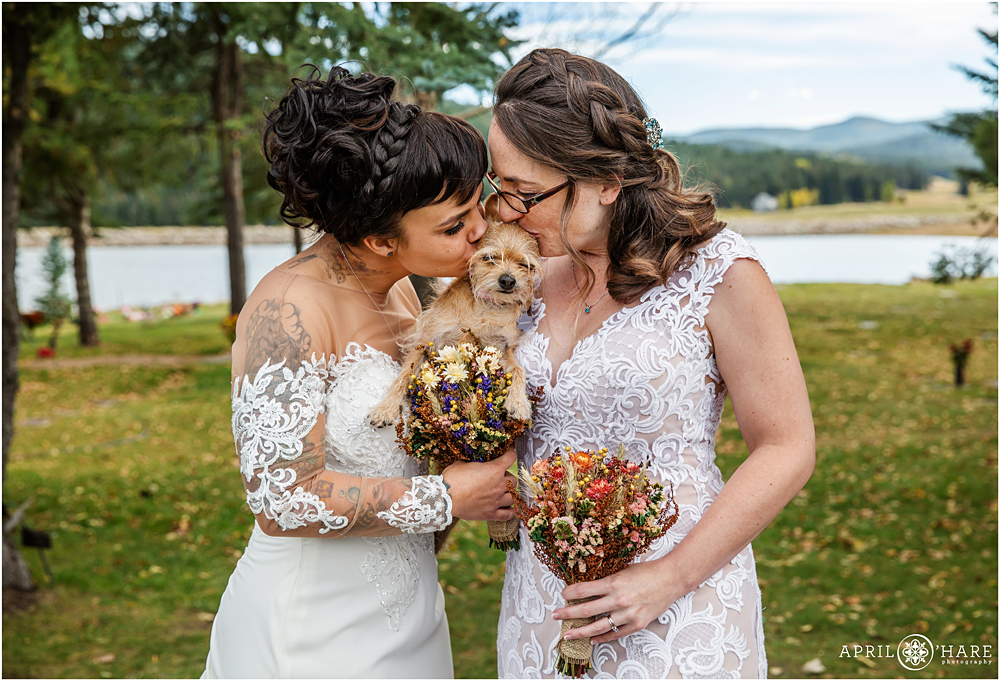 Two brides kiss their tiny little dog on their autumn wedding day at The Barn at Evergreen Memorial Park