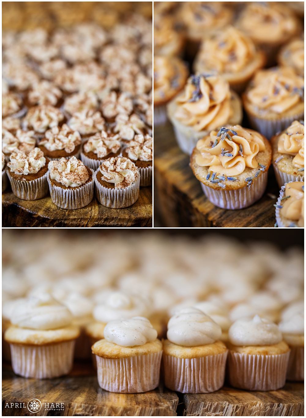 Detail photos of the mini cupcakes from a rustic wedding reception in CO