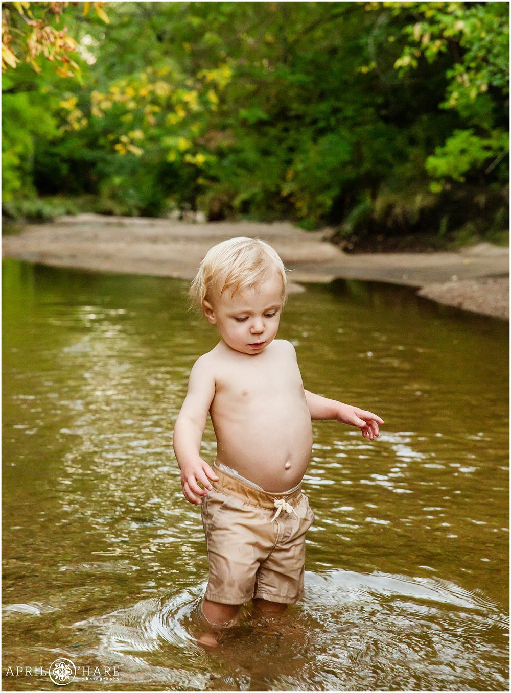 Cute baby boy plays in a small stream in Denver Colorado