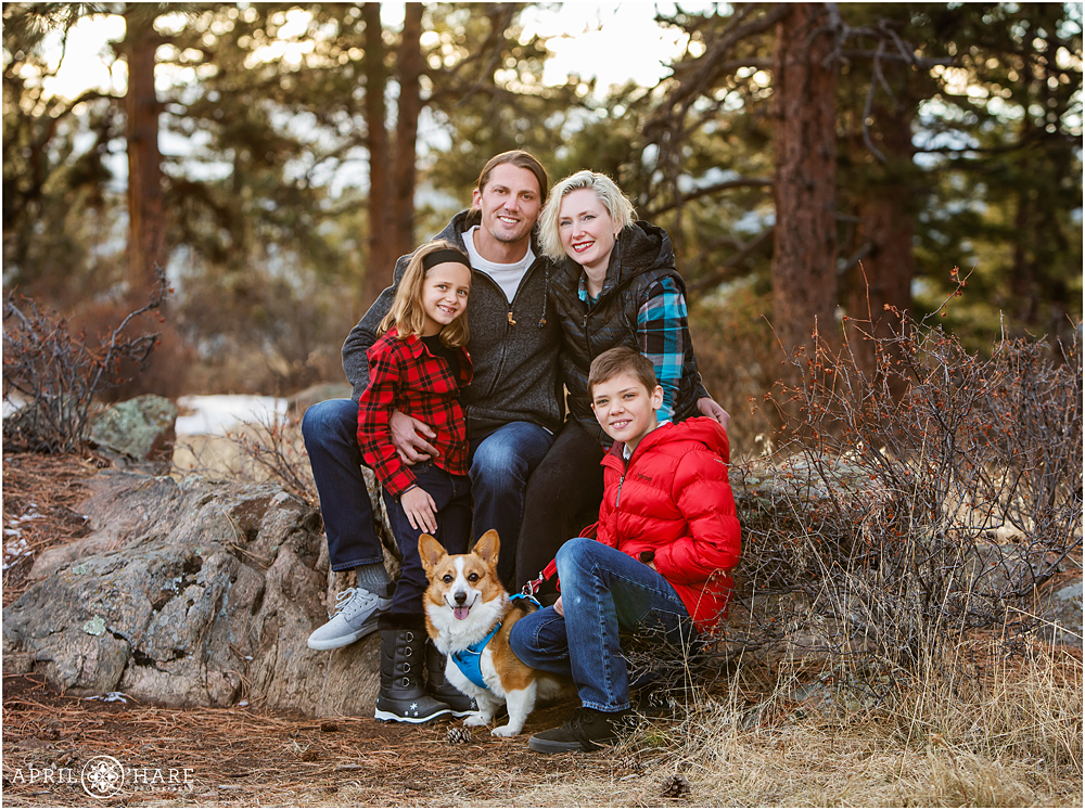 Mount Falcon West Trailhead Winter Family Photography with Pine Forest